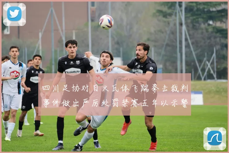 四川足协对日火瓦体飞踹拳击裁判事件做出严厉处罚禁赛五年以示警戒
