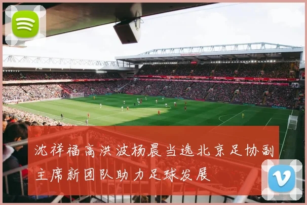 沈祥福高洪波杨晨当选北京足协副主席新团队助力足球发展