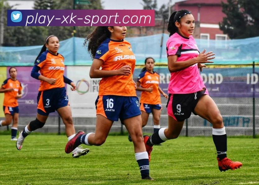 星空体育APP 高清赛事图